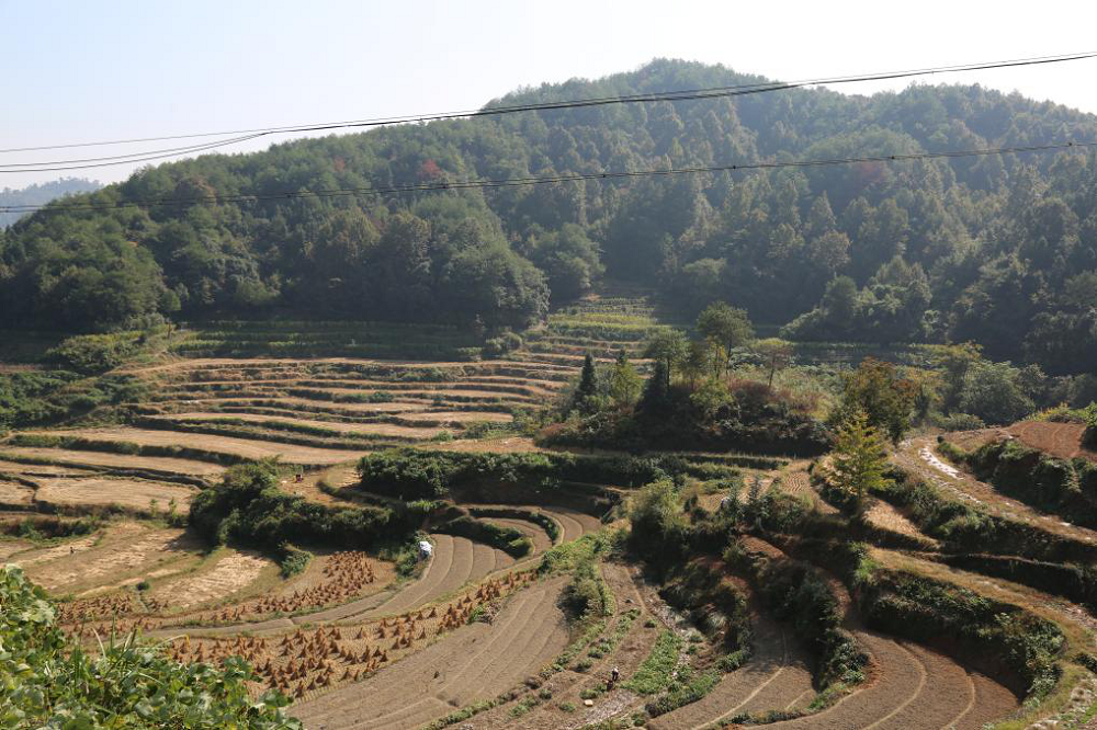 1636093279257430.png 03.png